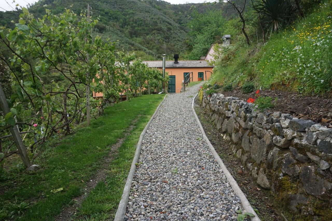 Agriturismo U Muinettu La Spezia Extérieur photo
