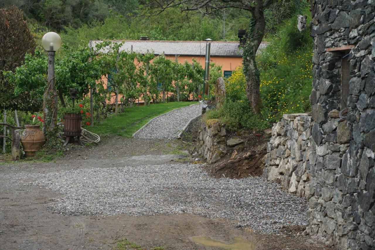 Agriturismo U Muinettu La Spezia Extérieur photo