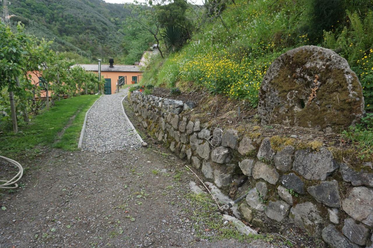 Agriturismo U Muinettu La Spezia Extérieur photo