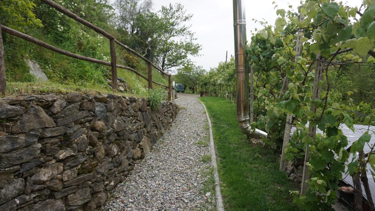 Agriturismo U Muinettu La Spezia Extérieur photo